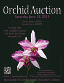 Color 2013 OSSC Orchid Auction Poster