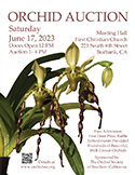 Poster for 2023 OSSC Orchid Auction