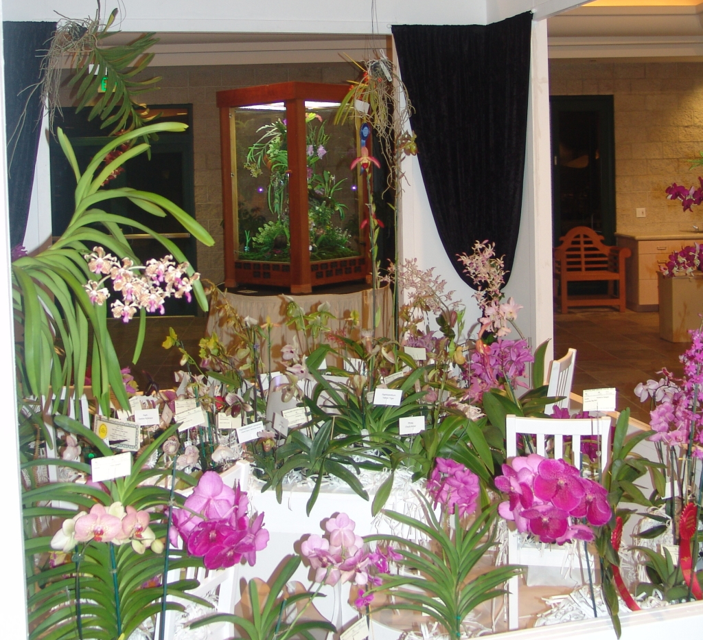 OSSC's Display at the 2007 Southland Orchid Show